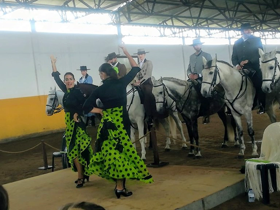 espetáculo equestre com sevilhanas
